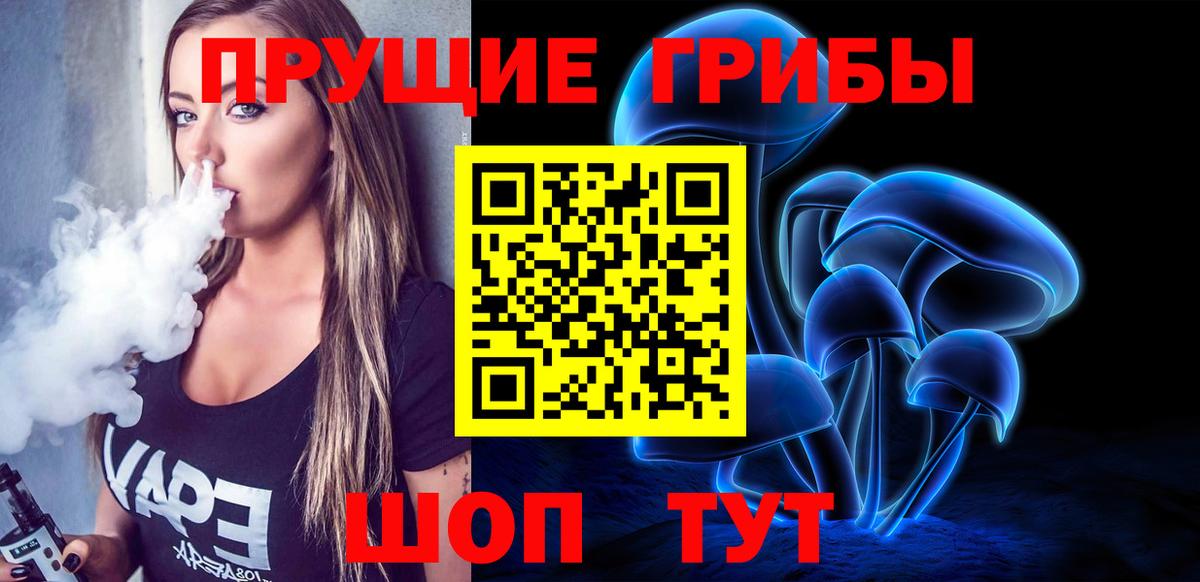 Тобольск  Галлюциногенные грибы Psilocybine cubensis  Вход с VPN 