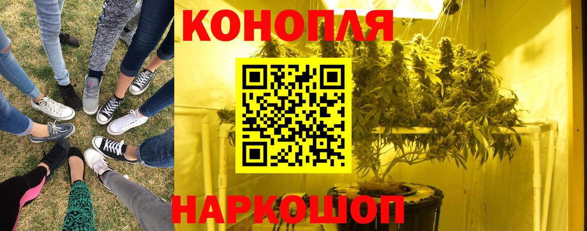 Марихуана OG Kush Тобольск